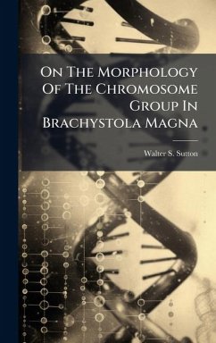 Cover On The Morphology Of The Chromosome Group In Brachystola Magna