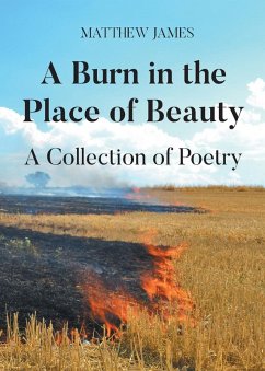 Cover A Burn in the Place of Beauty