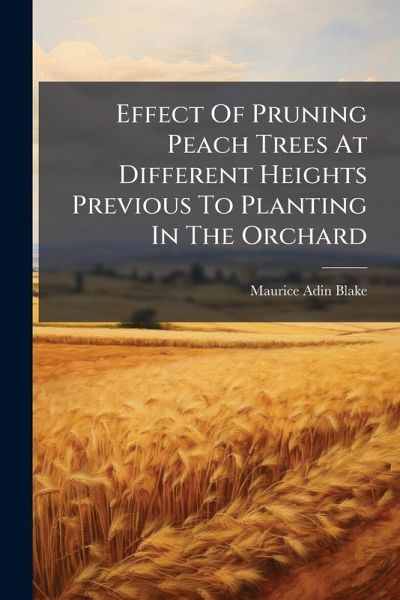 Effect Of Pruning Peach Trees At Different Heights Previous To Planting In The Orchard