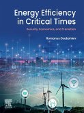 Energy Efficiency in Critical Times (eBook, ePUB)