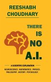 There Is No A.I.
