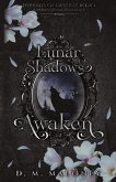 Lunar Shadows