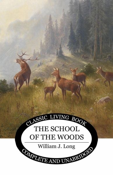 The School of the Woods The School of the Woods