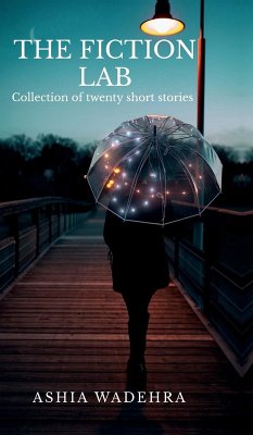 Cover The Fiction Lab