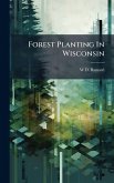 Forest Planting In Wisconsin