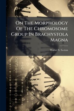 Cover On The Morphology Of The Chromosome Group In Brachystola Magna