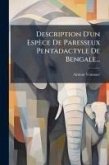 Description D'un Espèce De Paresseux Pentadactyle De Bengale...