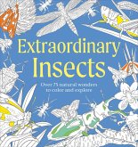 Extraordinary Insects Coloring Book Extraordinary Insects Coloring Book
