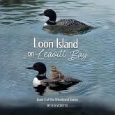 Loon Island on Leavitt Bay