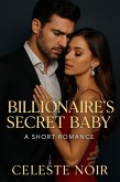Billionaire's Secret Baby: A Short Romance (eBook, ePUB)