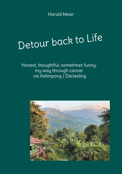 Detour back to Life (eBook, ePUB) Detour back to Life (eBook, ePUB)