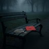 The Signs Weren't Enough (eBook, ePUB) - Bild 1