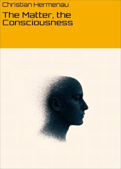 The Matter, the Consciousness (eBook, ePUB) - Hermenau, Christian
