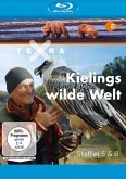 Terra X: Kielings Wilde Welt (Staffel 5 & 6)
