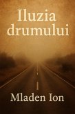 Iluzia Drumului (eBook, ePUB) Iluzia Drumului (eBook, ePUB)