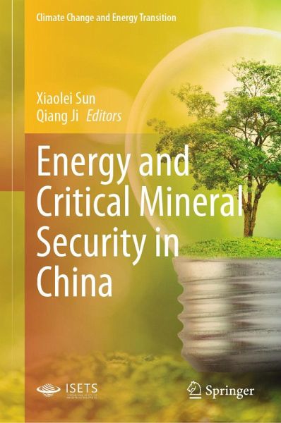 Energy and Critical Mineral Security in China (eBook, PDF)