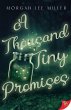 A Thousand Tiny Promises (eBook, ePUB) - Bild 1