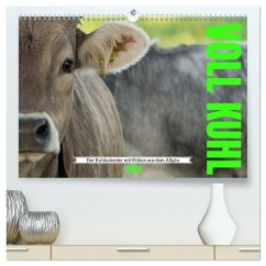 Voll kuhl - der Kuhkalender mit Kühen aus dem Allgäu (hochwertiger Premium Wandkalender 2026 DIN A2 quer), Kunstdruck in Hochglanz