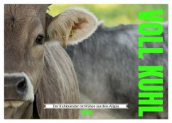 Voll kuhl - der Kuhkalender mit Kühen aus dem Allgäu (Wandkalender 2026 DIN A2 quer), CALVENDO Monatskalender