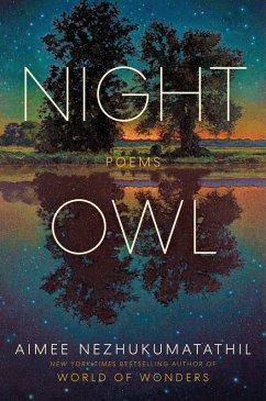 Cover Night Owl (eBook, ePUB)