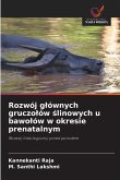 Rozwój g¿ównych gruczo¿ów ¿linowych u bawo¿ów w okresie prenatalnym