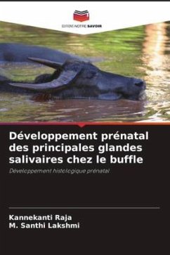 Cover Développement prénatal des principales glandes salivaires chez le buffle