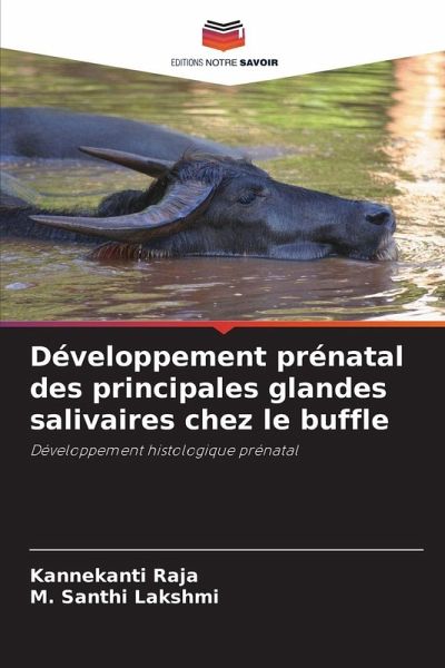 Développement prénatal des principales glandes salivaires chez le buffle
