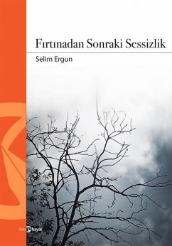 Cover Firtinadan Sonraki Sessizlik