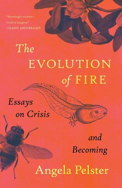 Cover The Evolution of Fire