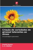 Criação de variedades de girassol tolerantes ao stress Criação de variedades de girassol tolerantes ao stress