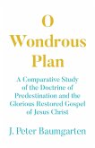 O Wondrous Plan O Wondrous Plan