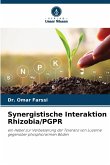 Synergistische Interaktion Rhizobia/PGPR