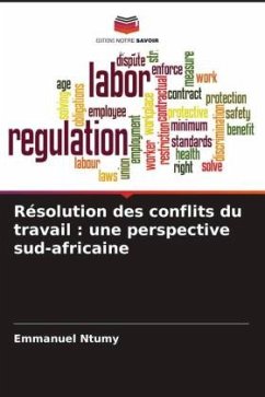 Cover Résolution des conflits du travail : une perspective sud-africaine