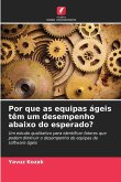 Por que as equipas ágeis têm um desempenho abaixo do esperado?
