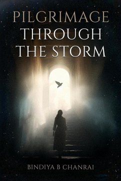 Cover Pilgrimage Through the Storm