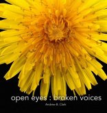 Open Eyes Broken Voices