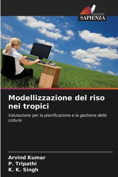 Cover Modellizzazione del riso nei tropici