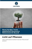 Licht auf Pflanzen Licht auf Pflanzen