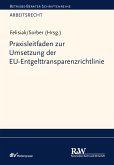 Praxisleitfaden zur Umsetzung der EU-Entgelttransparenzrichtlinie (eBook, PDF)
