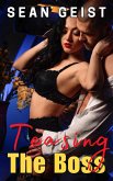 Teasing The Boss (eBook, ePUB)