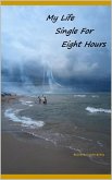 My Life Single For Eight Hours (eBook, ePUB)
