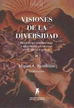 Cover Visiones de la diversidad (eBook, ePUB)
