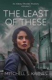 The Least of These (The Detective Abbey Rhodes Mysteries, #2) (eBook, ePUB)