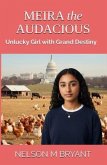 Meira the Audacious (eBook, ePUB)