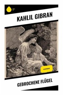 Cover Gebrochene Flügel