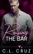 Raising the Bar (eBook, ePUB) - Bild 1