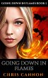 Going Down In Flames (eBook, ePUB) - Bild 1