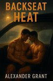 Backseat Heat (eBook, ePUB)