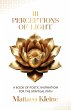 111 Perceptions of Light (eBook, ePUB) - Bild 1