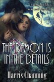 The Demon is In the Details (eBook, ePUB) The Demon is In the Details (eBook, ePUB)